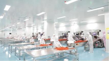 年產10億包，湖南投產超大制藥級辣條車間背后的生物科技革新